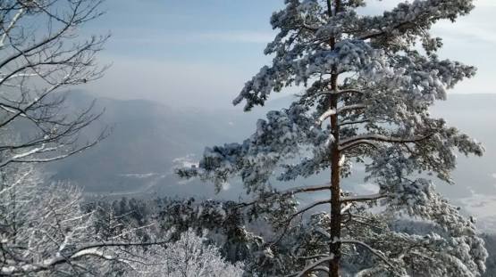 biela skala, volovské vrchy