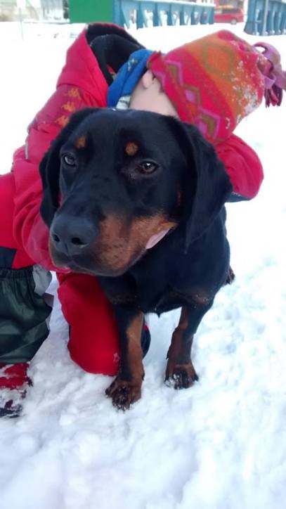 15873108_839333609503237_5338428709767355436_n