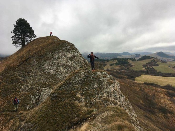 27400397_10213059132704805_216513783_n