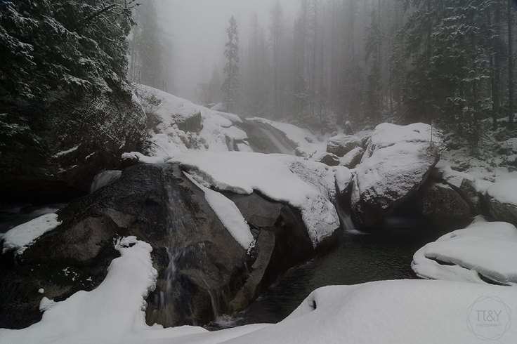 28511303_2073861722643949_1896466768_n