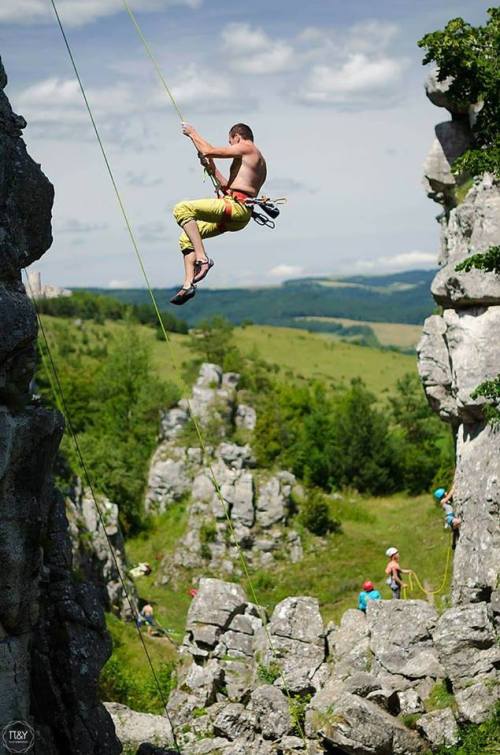 dreveník  andrej pižem