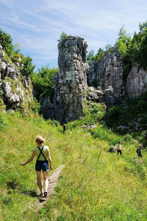 dreveník  andrej pižem