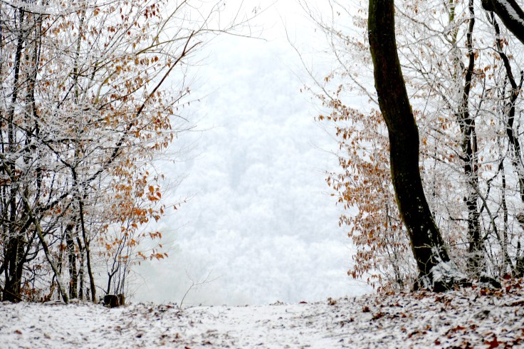 cesta na obišovský hrad