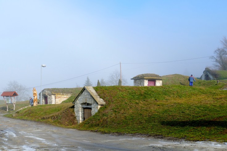 Portály pivníc vo Veľkej Tŕni