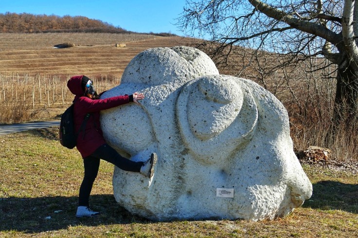 vyhliadková veža Tokaj